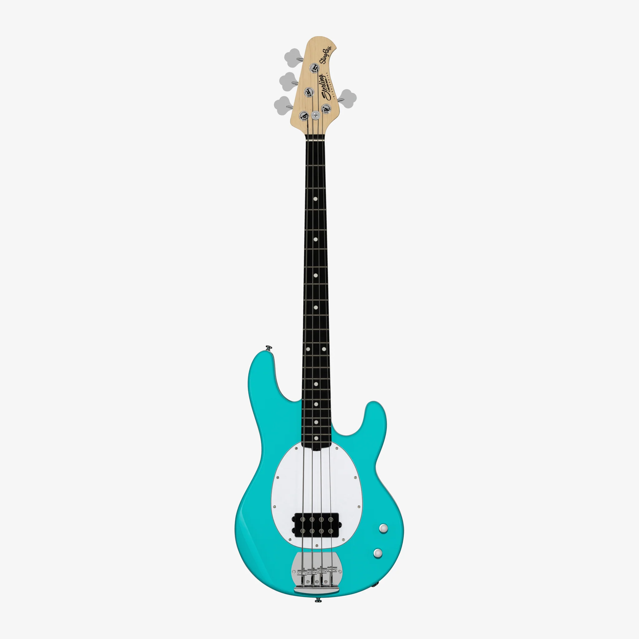 Intro Series StingRay