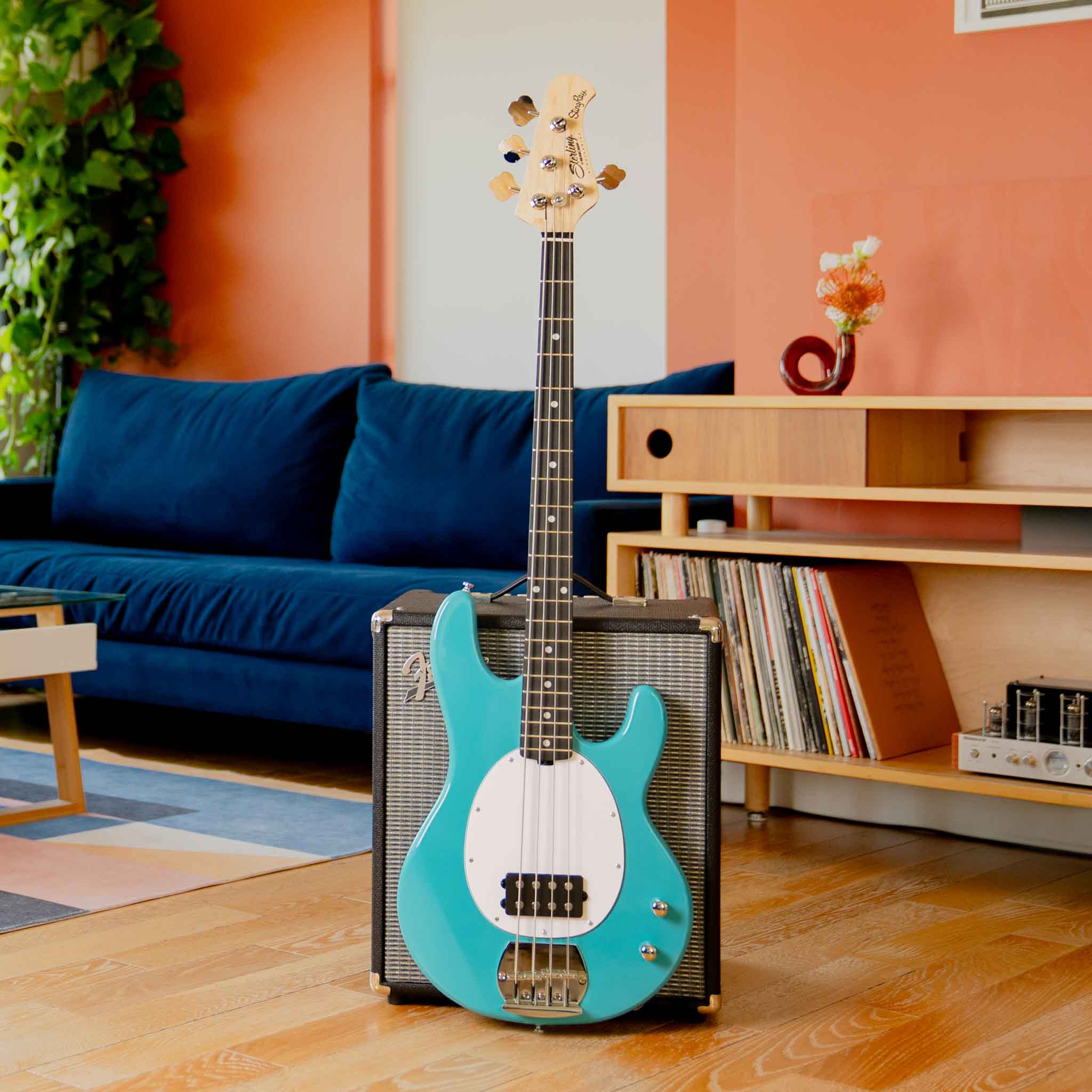 Intro Series StingRay - Image 2