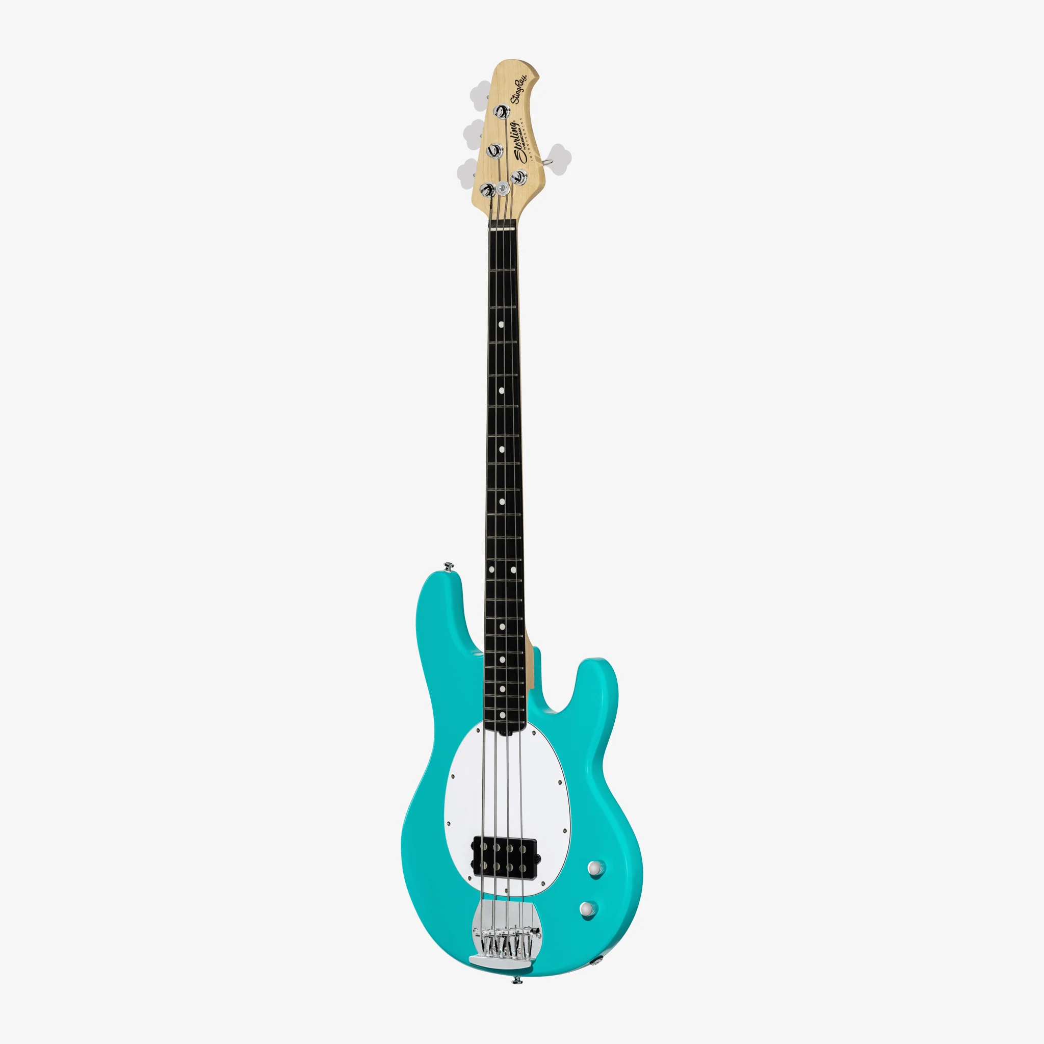 Intro Series StingRay - Image 3