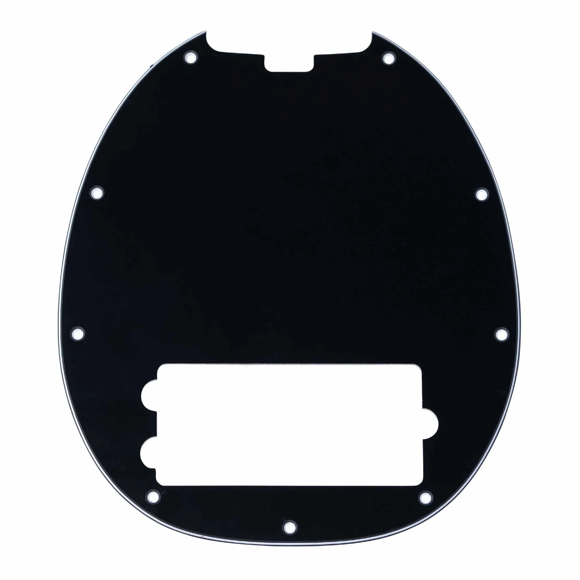 Pickguard for RAY25CA