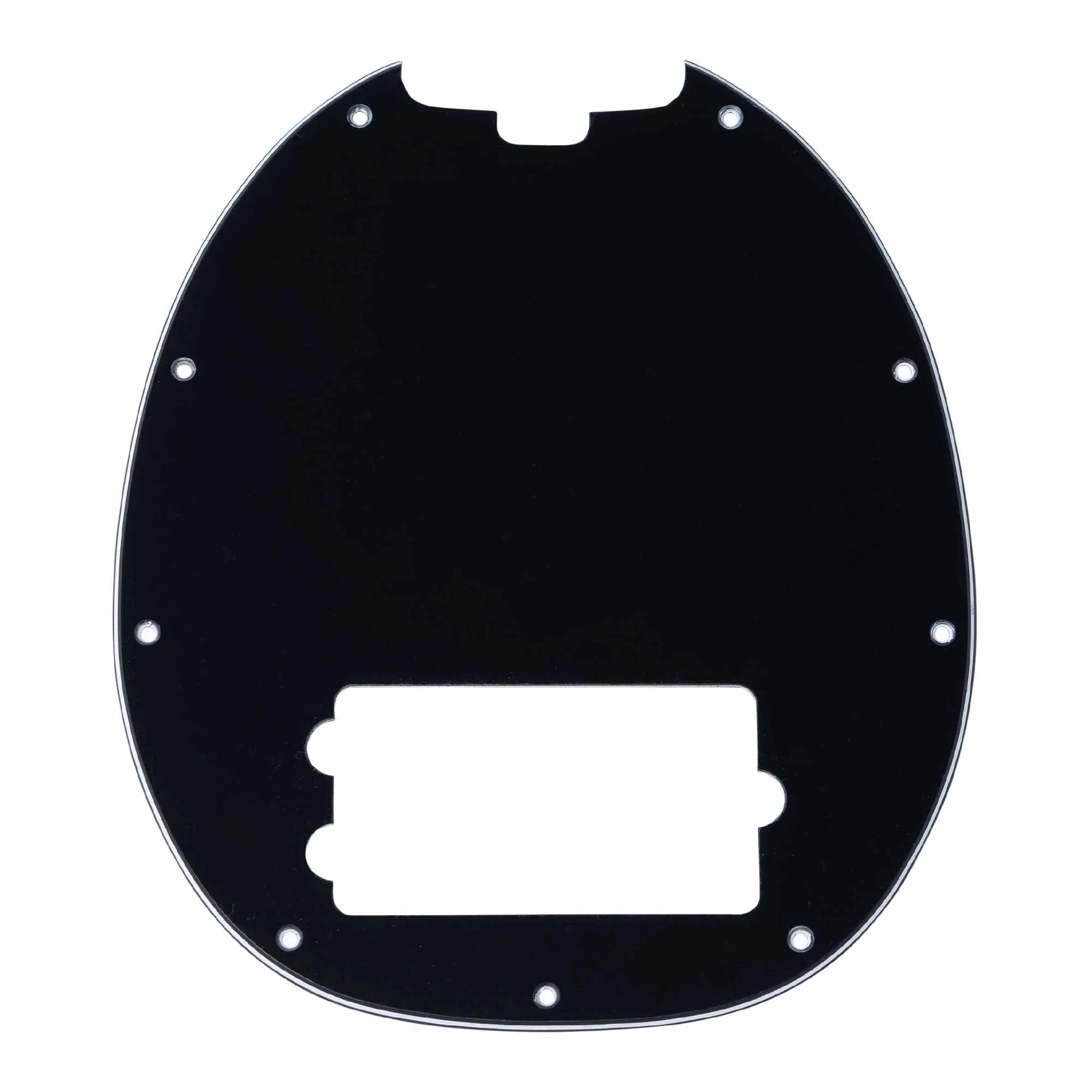 Pickguard for RAY4