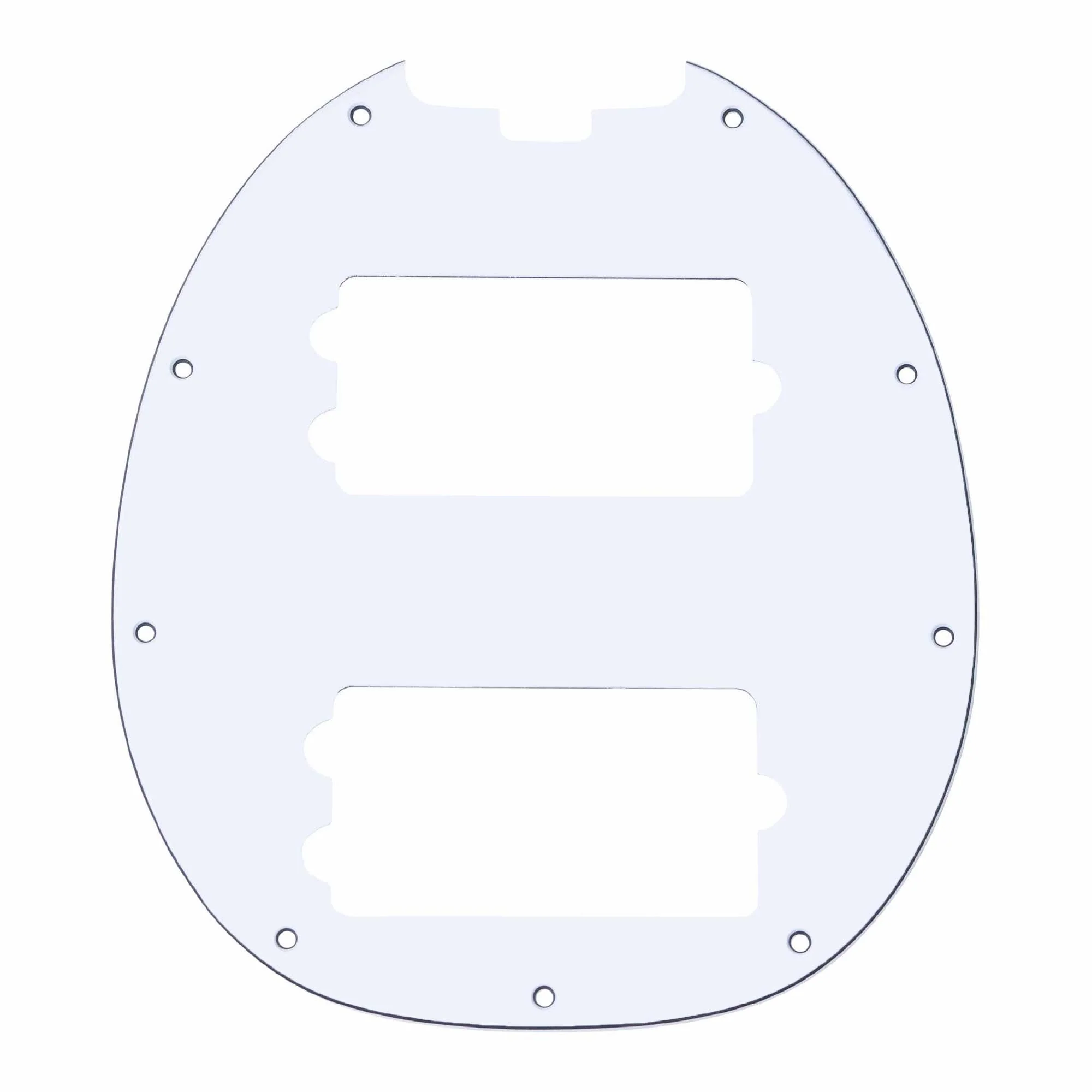 Pickguard for RAY4HH