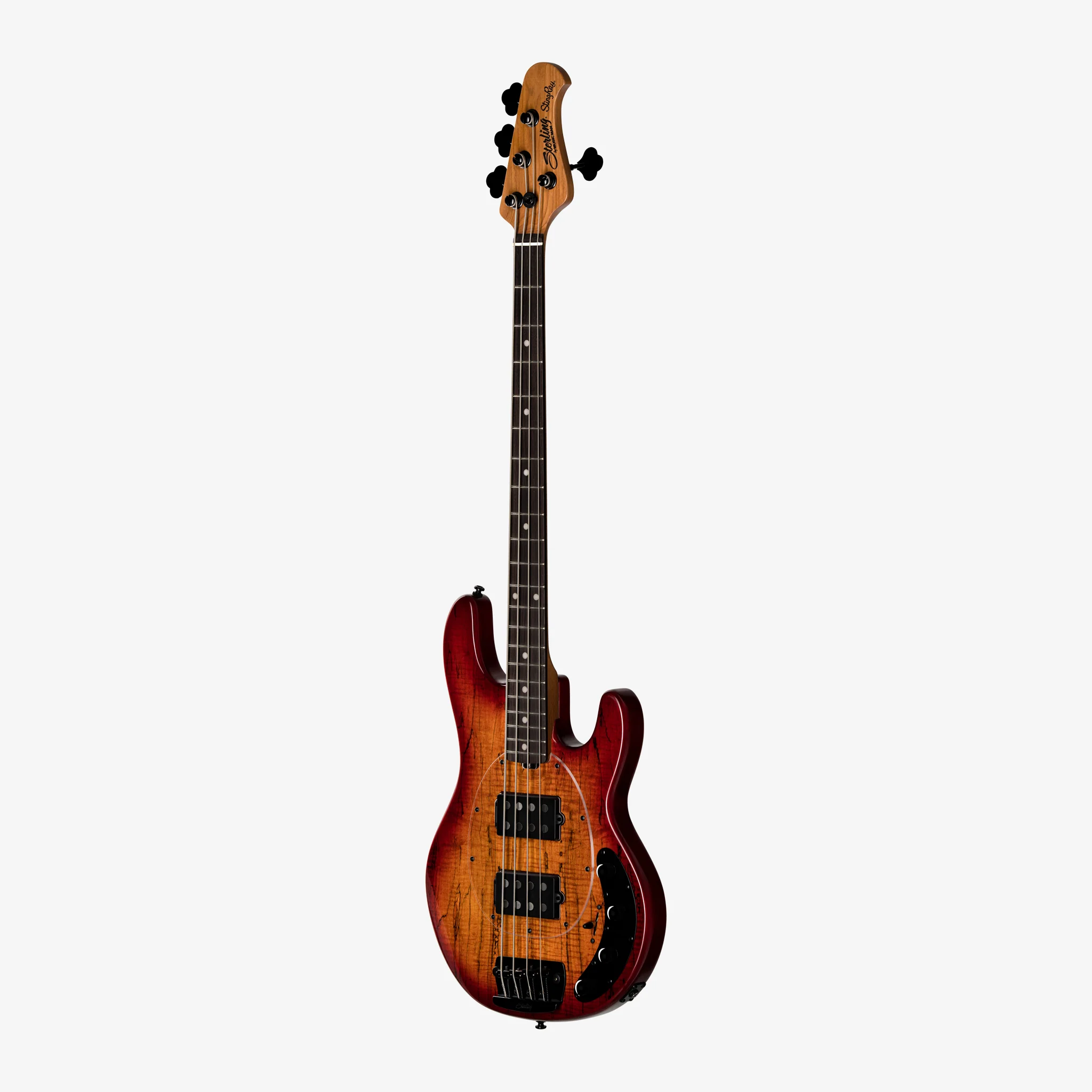 StingRay HH Maple Top - Image 3