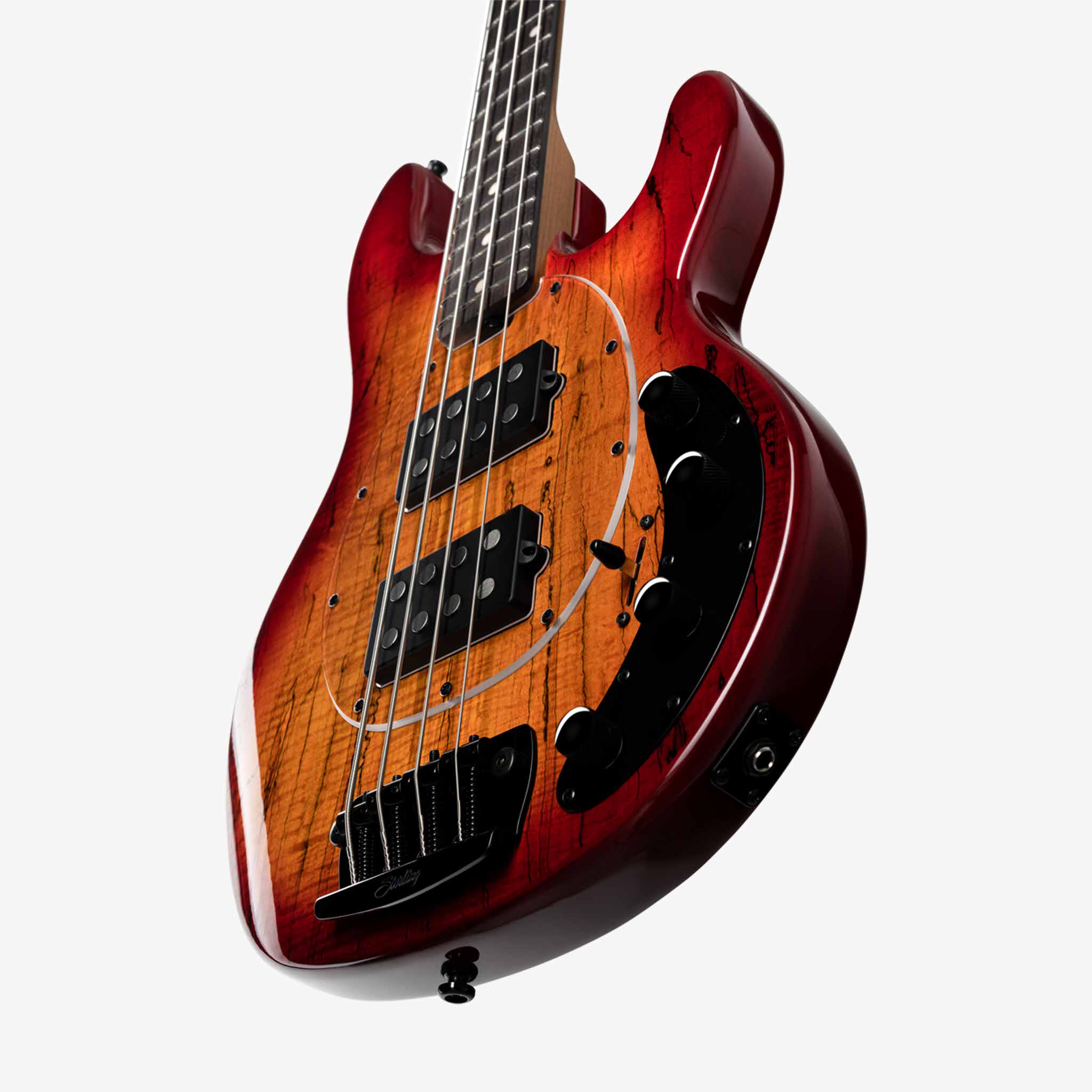 StingRay HH Maple Top - Image 5