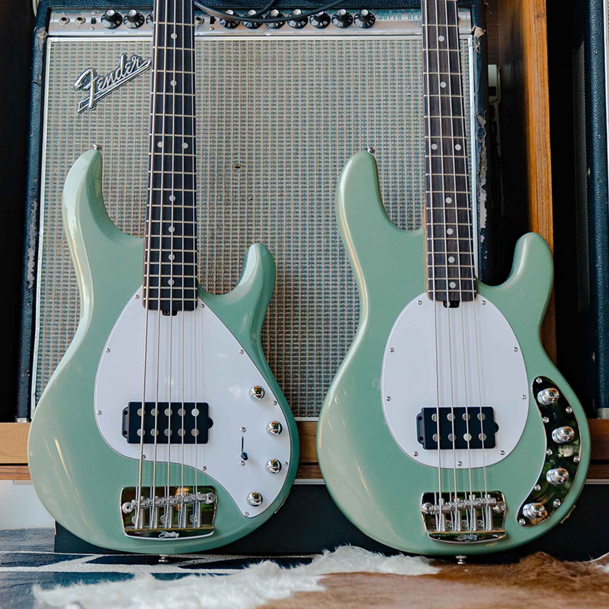 StingRay 5 - Image 2